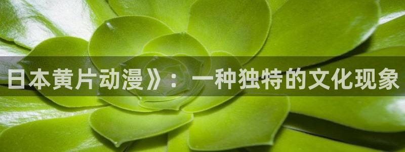 成人动漫里番：日本黄片动漫》：一种独特的文化现象
