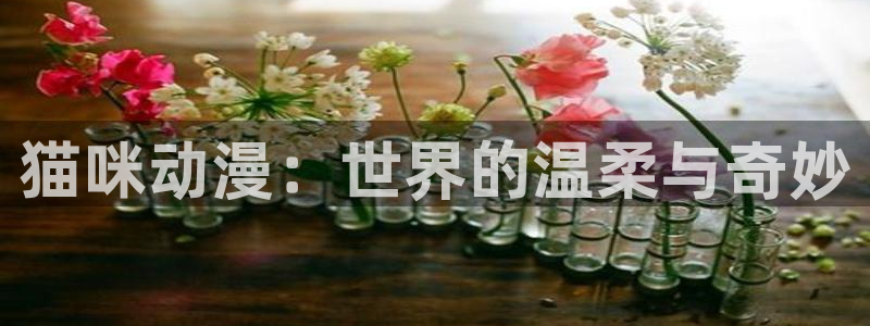 里番漫画之绅士漫画：猫咪动漫：世界的温柔与奇妙