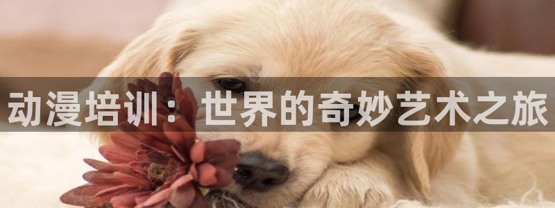 动漫里番漫画：动漫培训：世界的奇妙艺术之旅