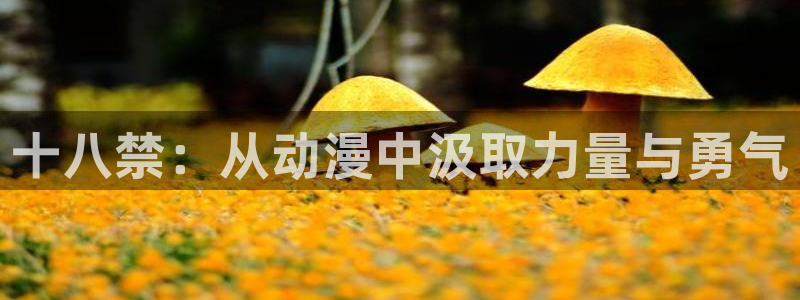 里番动漫排行榜前十名：十八禁：从动漫中汲取力量与勇气