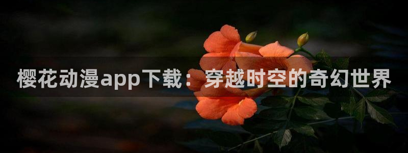 里番剧动漫：樱花动漫app下载：穿越时空的奇幻世界