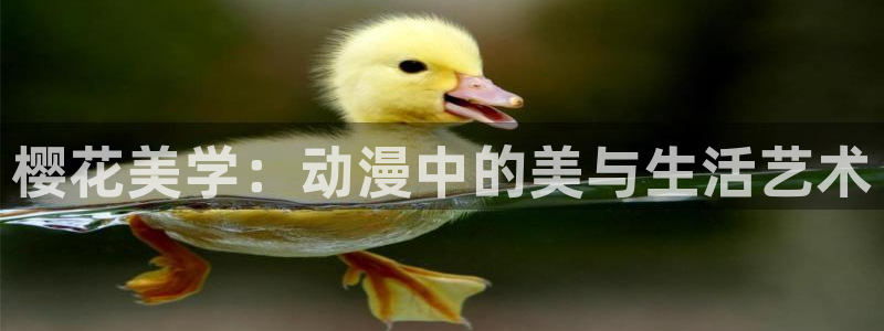 里番漫画邪恶：樱花美学：动漫中的美与生活艺术