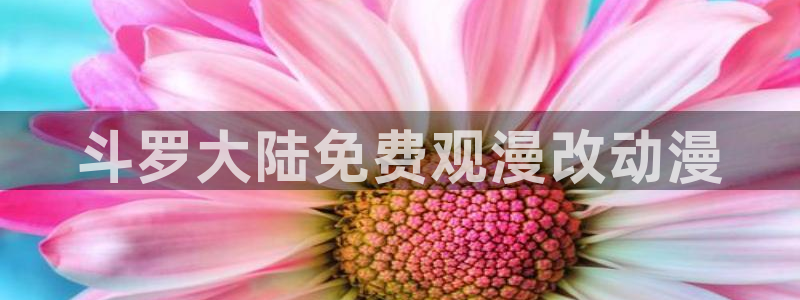 最新里番动漫推荐：斗罗大陆免费观漫改动漫