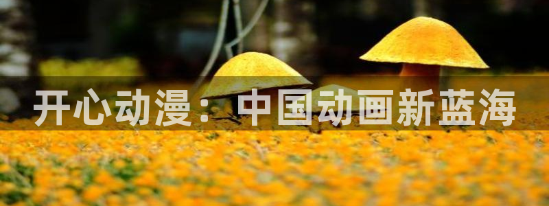 里番动漫吧：开心动漫：中国动画新蓝海